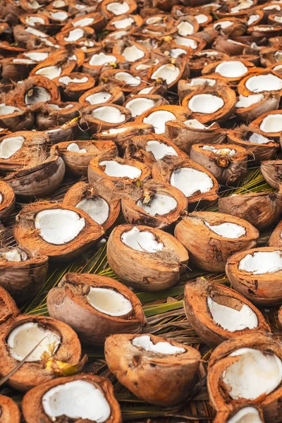 Борнео/Sarawak/Малайзія/Червень 2014: фермер відкриття кокоси — стокове фото
