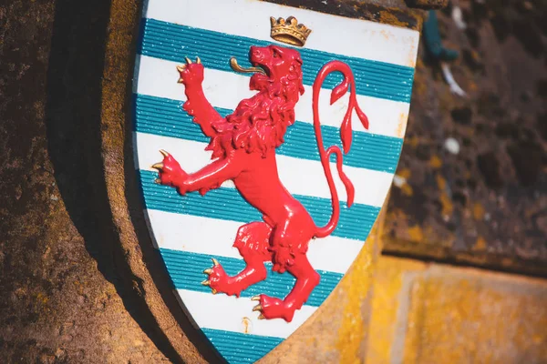 Das rote Löwensymbol der luxemburgischen Flagge — Stockfoto