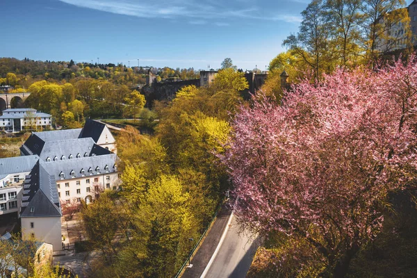 Temporada da Primavera no Luxemburgo — Fotografia de Stock