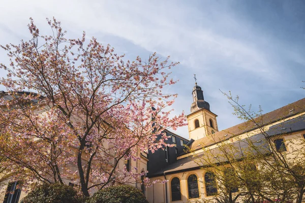 Spring season in Luxembourg — Stock Photo, Image