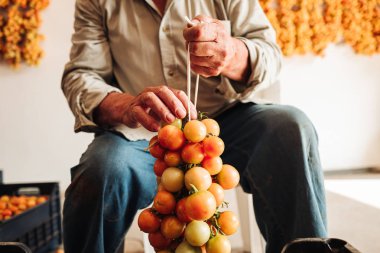 Puglia / İtalya - Ağustos 2019: Asma cher eski geleneği