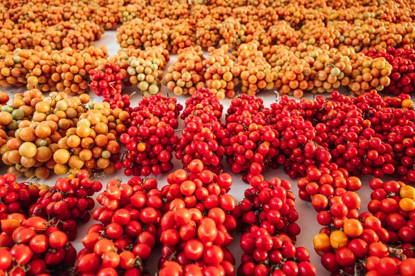 Tomates cereza colgando en la pared en el sur de Italia —  Fotos de Stock