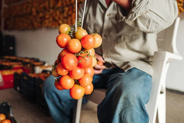 Apulien / Italien - August 2019: die alte Tradition des Aufhängens — Stockfoto