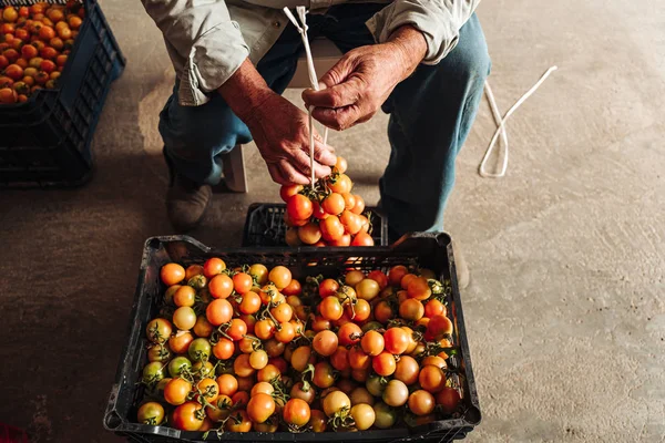 Puglia/Italië-augustus 2019: de oude traditie van opknoping Cher — Stockfoto