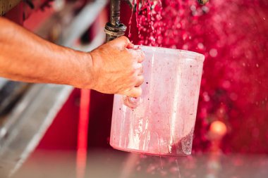 Puglia / İtalya - Eylül 2019: Yeni Primitivo Dop re yapımı