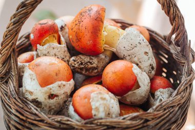 Amanita caesarea, nadir bir lezzetli mantar