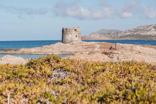 Stintino, Sardinie / Octiber 2019: Pohled na nádhernou pláž b — Stock fotografie