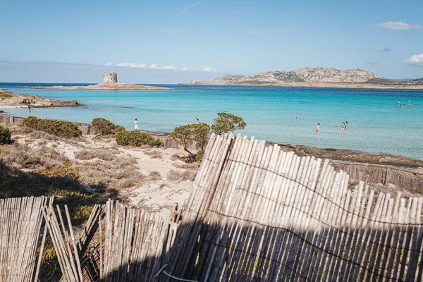 Stintino, sardinien / oktiber 2019: blick auf den wunderschönen strand — Stockfoto