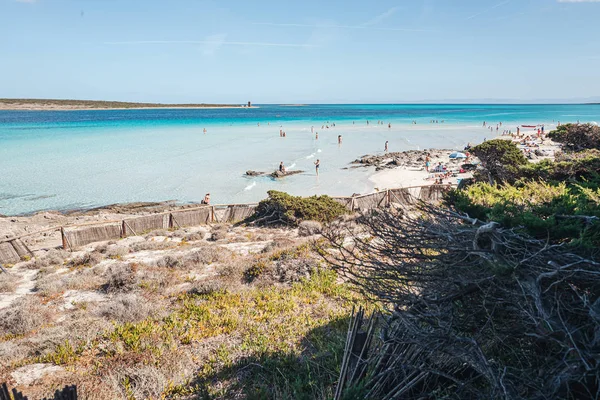 Stintino, Sardinya / Ekim 2019: Muhteşem B plajı manzarası