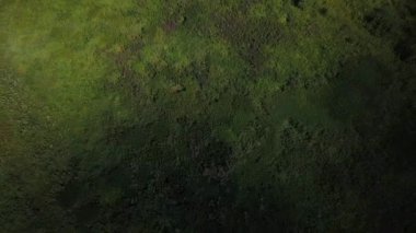 Hava yaz göl manzaralı