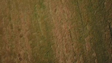 Hava yaz göl manzaralı