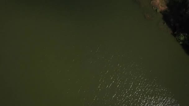 Vista aérea del lago de verano — Vídeos de Stock