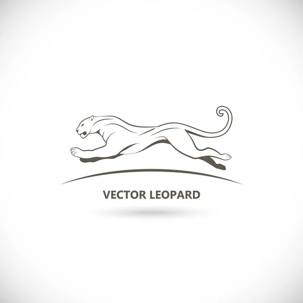 Διάνυσμα Ετικέτα Μια Εικόνα Του Leopard — Διανυσματικό Αρχείο