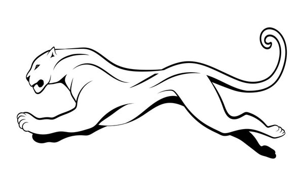 Black and white image of a leopard