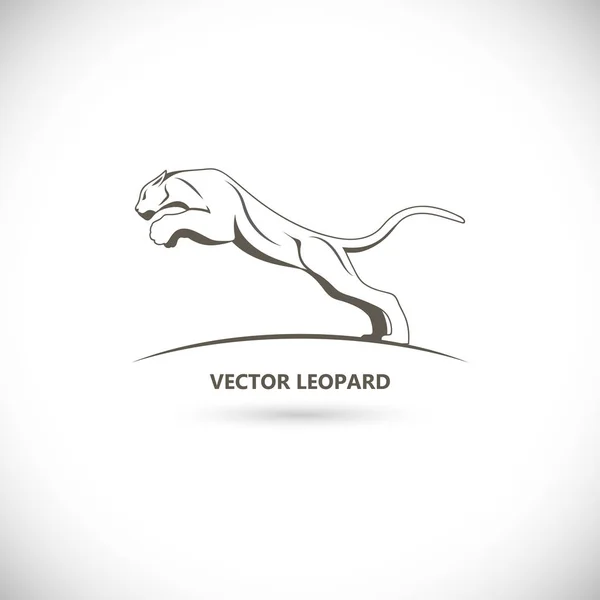 Etiqueta Vectorial Con Una Imagen Leopardo Vectores de stock libres de derechos