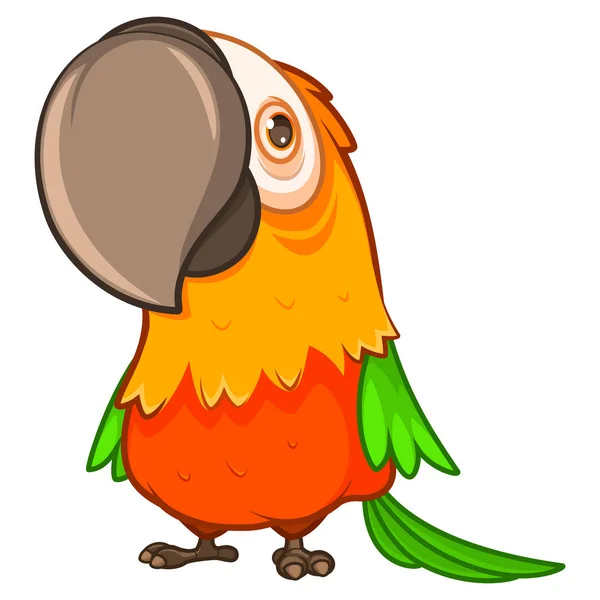 Lustiger dicker orangefarbener Papagei mit großem Schnabel — Stockvektor