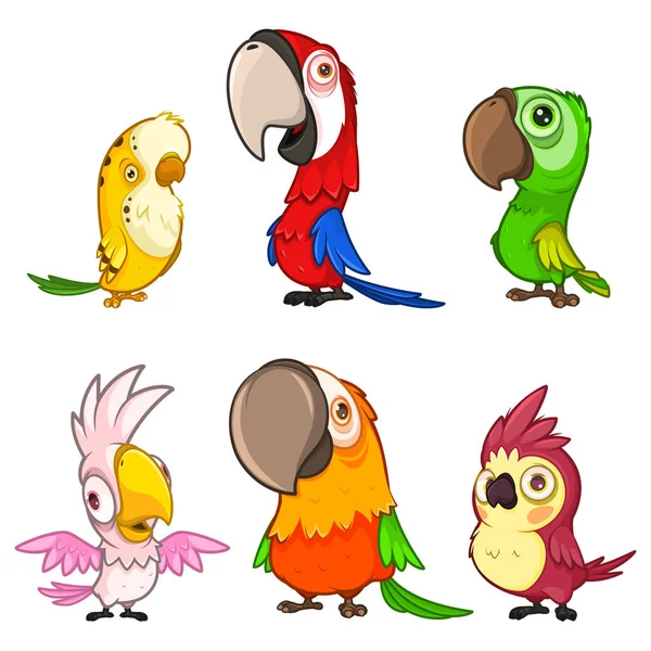 Conjunto de seis lindos y divertidos loros de dibujos animados — Vector de stock