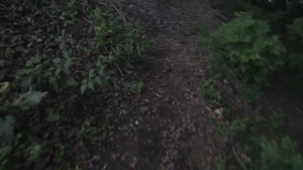 Perspective personnelle de marcher sur un sentier dans la forêt .