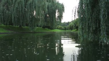 Doğa ve göl rahatlatıcı video.