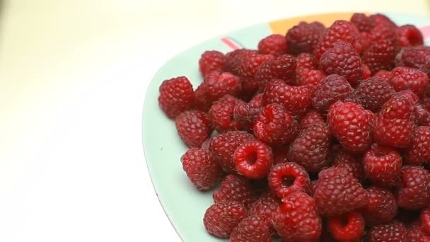 Frische Himbeerfrüchte als Nahrungsgrundlage. gesunde und ökologische Ernährung. Blick von oben — Stockvideo