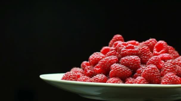 Framboesas frescas como fundo alimentar. Alimentação saudável nutrição orgânica. vista frontal — Vídeo de Stock