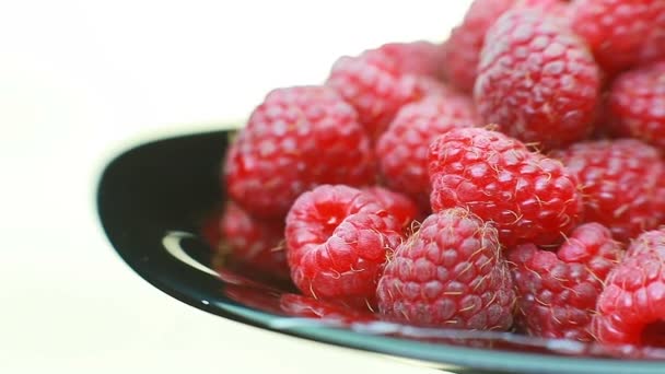 Frische Himbeerfrüchte als Nahrungsgrundlage. gesunde und ökologische Ernährung. Frontalansicht — Stockvideo