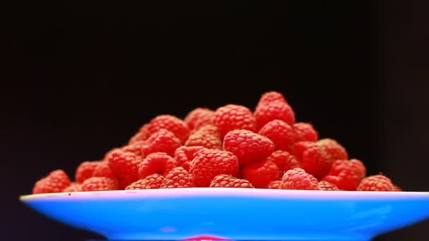 Frische Himbeerfrüchte als Nahrungsgrundlage. gesunde und ökologische Ernährung. Frontalansicht. — Stockvideo