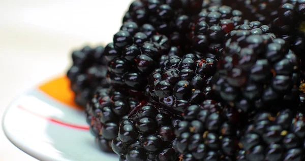 BlackBerry close-up. On the plate lies a black BlackBerry as a background — Stock Photo, Image