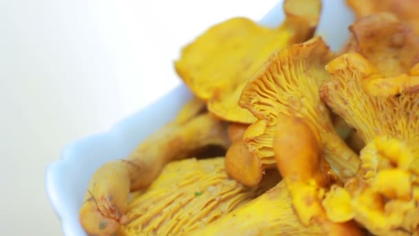 접시에 Chanterelles Chanterelles 배경에 프라이팬 접시에 — 비디오