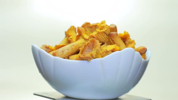 Cuit les chanterelles dans le plat . — Video