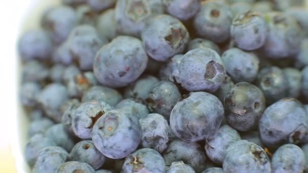 Blaubeeren werden im Teller gedreht. — Stockvideo