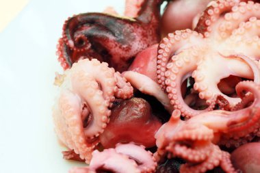 Bir plaka üzerinde Marine edilmiş ahtapot. Ahtapot beyaz bir arka plan üzerinde 3-5 cm uzunluğunda bir sürü