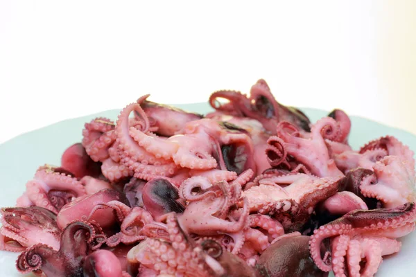 Marinated octopus on a plate. A lot of octopus on a white background, 3-5 cm in length — Stock Photo, Image