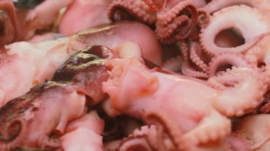 Bir plaka üzerinde Marine edilmiş ahtapot. Ahtapot beyaz bir arka plan üzerinde 3-5 cm uzunluğunda bir sürü