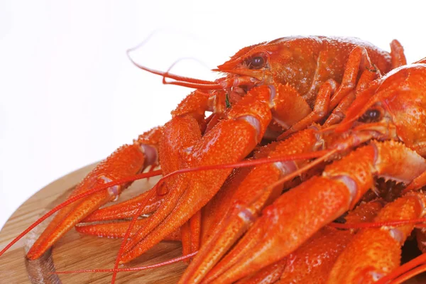 Boiled Crayfish Plate Red Crustaceans Large Claws White Background — Stock Photo, Image