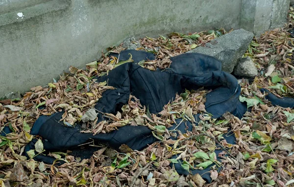 犯罪のシーン 被害者のジャケットはまだ森の中 — ストック写真