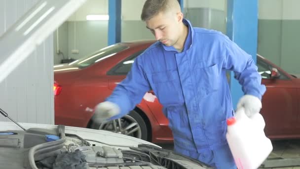 Llenando el coche con anticongelante . — Vídeo de stock