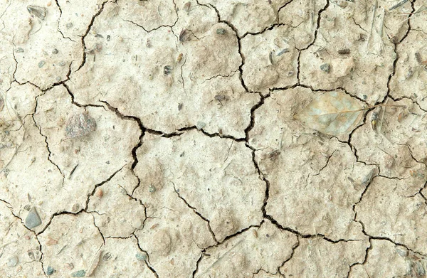 Çatlaklar toprağa yakın çekim bir kara kuru, Kuru zeminde birçok çatlaklar, doku dünya'nın yüzeyine