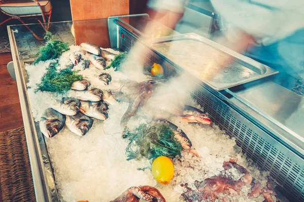 Fresh fish, octopuses in the refrigerated counter. — Stock Photo, Image