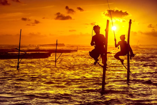 The stilt fishermen on the sunset background. — Stock Photo, Image