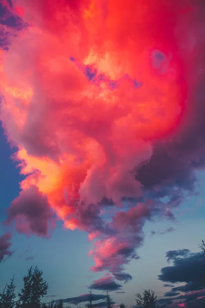 Pôr-do-sol dramático Fundo do céu rosa com nuvens — Fotografia de Stock