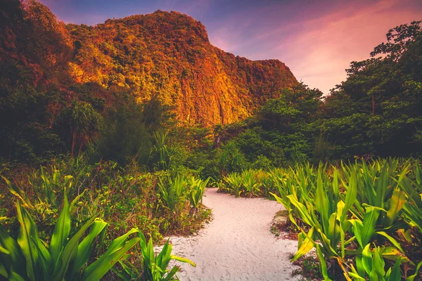 A homok elérési útja, a zöld-völgy. A Phi Phi-sziget. — Stock Fotó