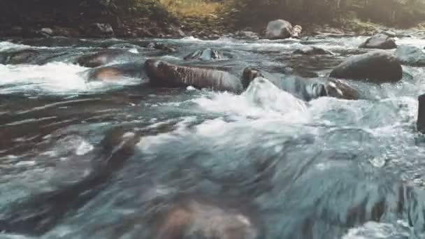 Hegyi folyó őszi erdőben. Víz közeli képe — Stock videók