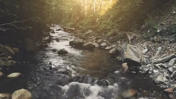 Voo aéreo: rio de montanha na floresta de outono — Vídeo de Stock