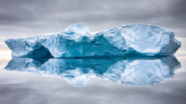 Antarctic Nature. Huge iceberg float in open ocean — Stock Video