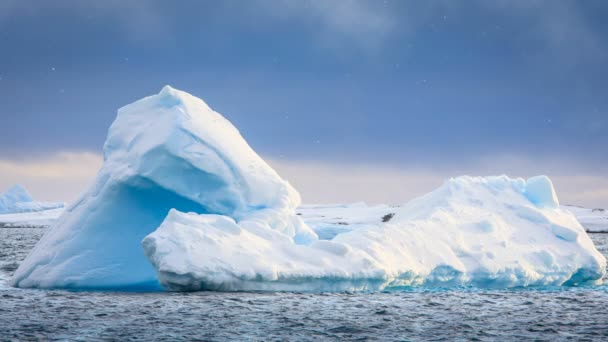 Όμορφη μπλε παγετώνα επιπλέουν στον ανοιχτό ωκεανό — Αρχείο Βίντεο