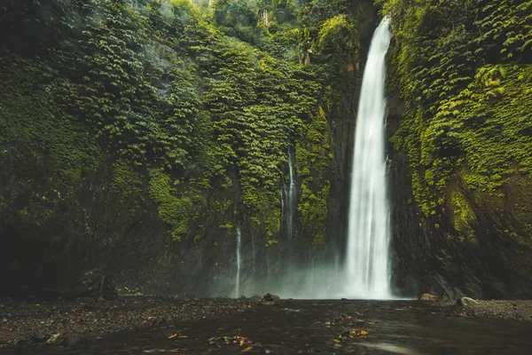 Cascada en la selva. Un paisaje verde. Bali. . —  Fotos de Stock