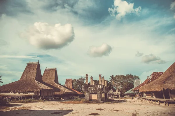 전통적인 Sumbanese 마입니다. 인도네시아. — 스톡 사진