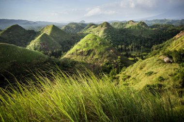 Chocolate Hills in the Bohol province clipart