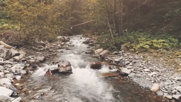 Voo aéreo: rio de montanha na floresta de outono — Vídeo de Stock